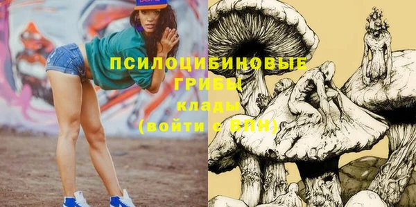ешки Абинск