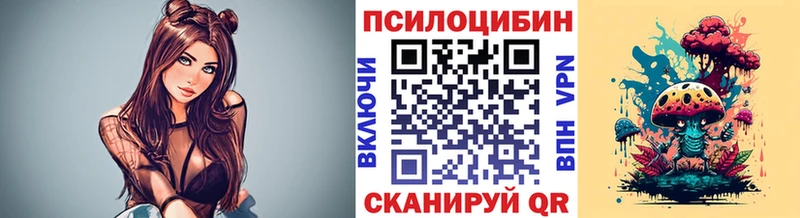 Галлюциногенные грибы Psilocybine cubensis продажа наркотиков Советская Гавань
